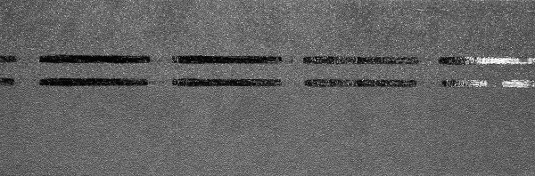 Коньково-карнизная черепица Docke Premium, черника купить в Нижнем Новгороде