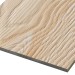 Фиброцементные панели FCSPRO Decor Wood Лиственница купить в Нижнем Новгороде