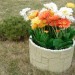 Цветник КАНЬОН купить в Нижнем Новгороде