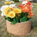 Цветник КАНЬОН купить в Нижнем Новгороде
